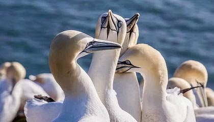 开云体育网站入口-东亚杯中国足球惨败 球员状态不稳定，东亚杯中国队