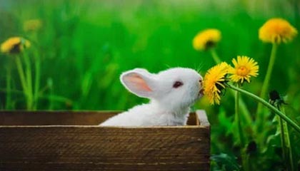 开云体育网站入口-东亚杯中国足球惨败 球员状态不稳定，东亚杯中国队